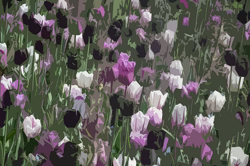 Tulpen