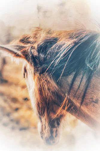 Crinière sauvage au soleil d'automne