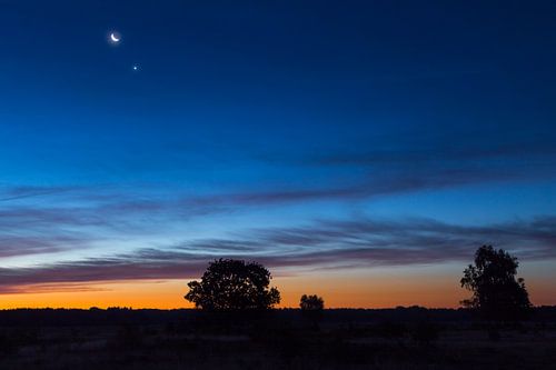 It's a new dawn, it's a new day....