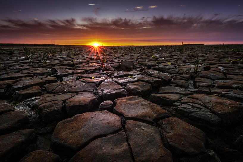 Nederlandse Droogte van Mario Calma