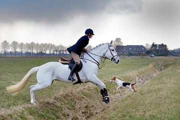 De sprong /The Jump van Harrie Muis