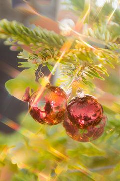 Rode kerstbal met stervormige lichtjes in de kerstboom. van Wim Stolwerk