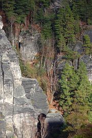 Elbsandsteingebirge von Thomas Jäger