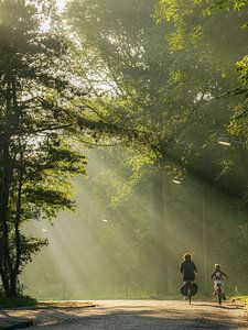 Fietsen in de mist von Dirk van Egmond