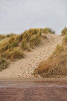 Sentier des dunes pour se reposer