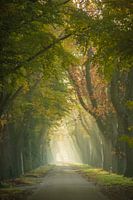 Solarharfen auf der Riels Hoefke