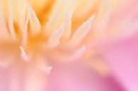 Frühlingsblume von Marjo Snellenburg Miniaturansicht