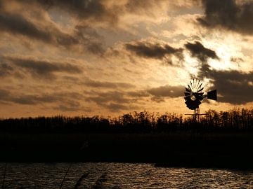 Goldenes Licht im Durksjanpolder von Mindert Dusselaar