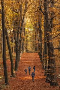 Autumn by Moetwil en van Dijk - Fotografie