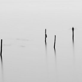 Piles at Drontermeer by Casper Smit