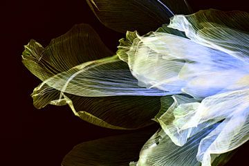 Floral - The fingerprint of leaves van Christine de Vogel