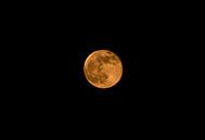 Blood Moon Netherlands van Foto Studio Labie thumbnail