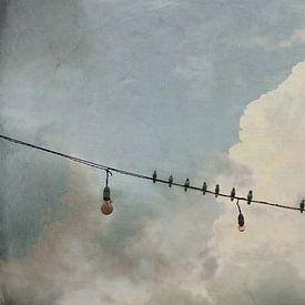 Linie des Lichts von Iris van Heusden