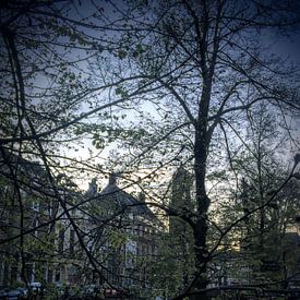 Dom Utrecht avond lente gracht (met bomen in bloei) van Ralph Bom