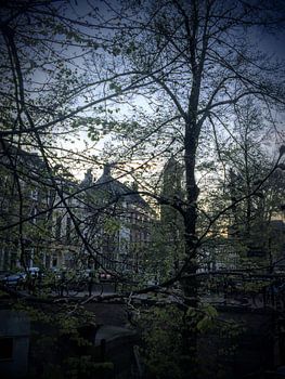 Dom Utrecht avond lente gracht (met bomen in bloei)
