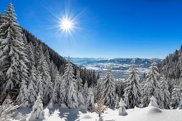 Winterdag in de bergen van Andreas Föll
