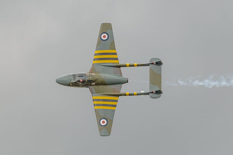 De Havilland D.H. 115 Vampire T55. von Jaap van den Berg