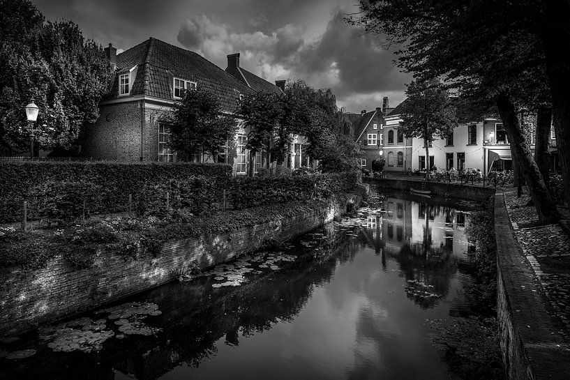 Havik, Amersfoort by Jens Korte