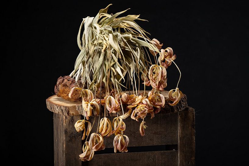 The Silence of Impermanence by Gerry van Roosmalen