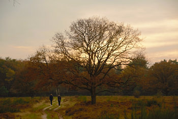Soirée d'automne