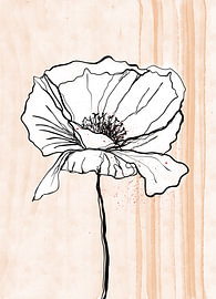 Mohnblume und Streifen, Ein-Strich-Zeichnung