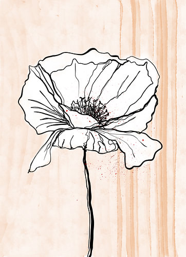 Coquelicot et rayures, dessin au trait sur AnkieArt
