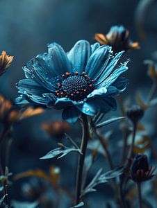 Wildblume