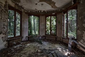De verlaten kamer met uitzicht op het bos