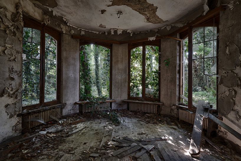 La chambre abandonnée avec vue sur la forêt par Steven Dijkshoorn
