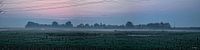 Durgerdam is still asleep...