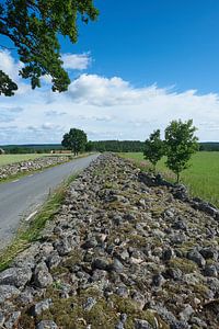 Steinmauer in schwedischer Landschaft