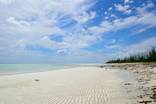 Je moet van dit strand houden.