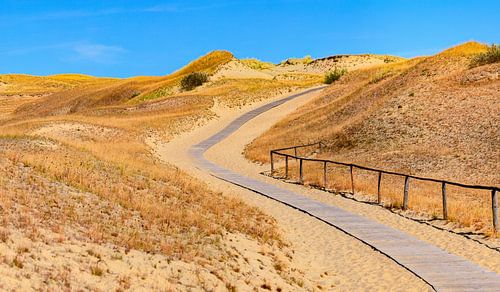 Route en bois dans les dunes de sable
