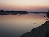 La nature sauvage se tait
