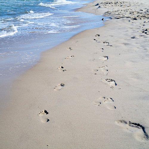 Voetafdrukken in het zand