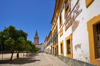 patio de banderas Sevilla