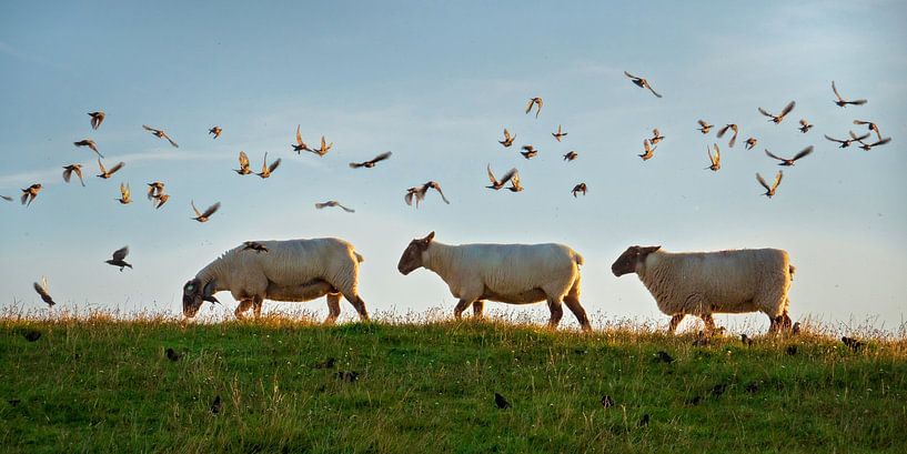 Under escort by Dieter König