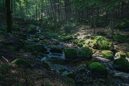 The Enchanted Ilse Valley