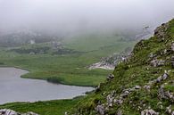 Berggeiten nabij Lago Ercina in Picos de Europa van Easycopters thumbnail