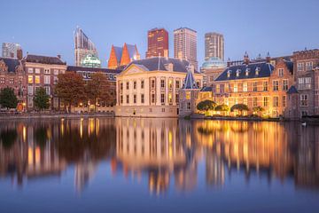 The Hague court pond by Elroy Spelbos