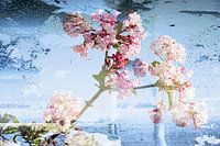 Boule de neige rétro