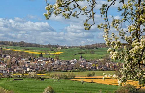 Bloesemtijd in Zuid-Limburg