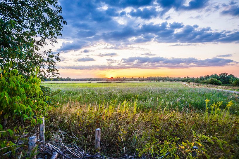 Colourfulness near Grabendorf by Freddy Hoevers