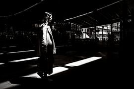 Uit de schaduw van Marco Bollaart