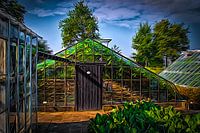 Westland Art #07. Historic grape greenhouse at the Westland Museum.