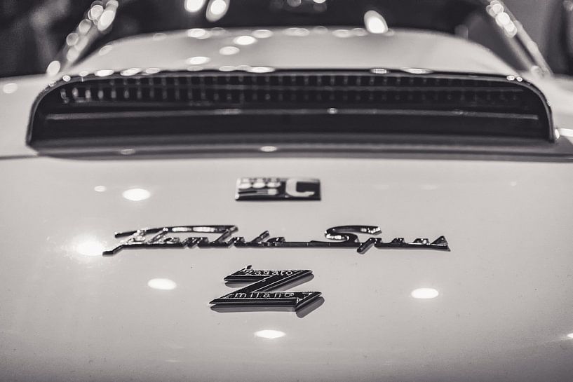 Lancia Flaminia Sport Zagato van autofotografie nederland