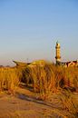 In the winter evening sun by Ostsee Bilder thumbnail