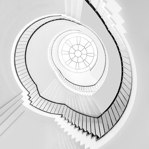 Rond en rond- Round and Round (Awarded)