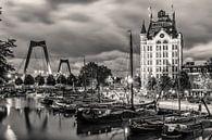 The white house in Rotterdam by Lorena Cirstea thumbnail