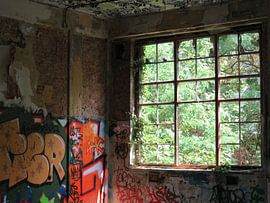 Fort de la Chartreuse by Iris Boom